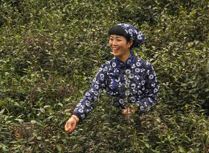 伊人，黄色直播